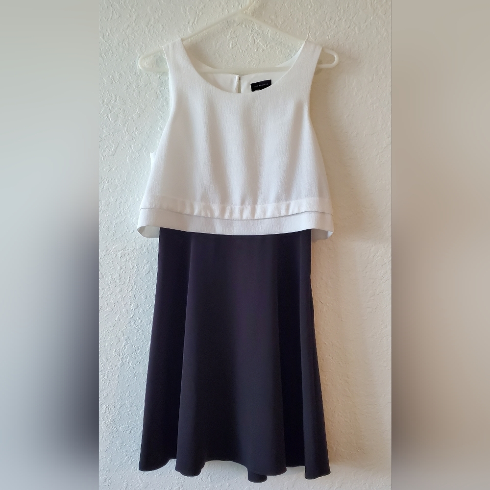 Womens Size 4 The Limited Lined Black and White Dress